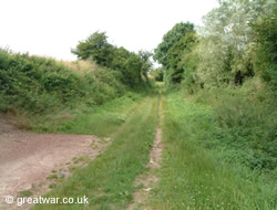 The Sunken Lane near Beaumont-Hamel.