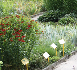 Plant nursery at Lijssenthoek Military Cemetery, Poperinge.